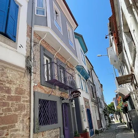 Almina Kantarci Ayvalı