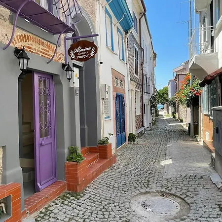 Almina Kantarci Ayvalı